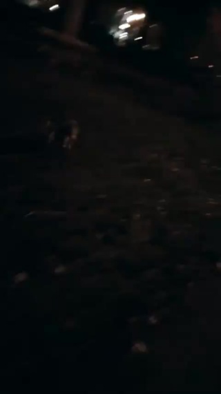 15500054 292396417867889 3583365105670160384 n